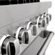 ZLINE 60" Dual Fuel Range, DuraSnow With DuraSnow Door RAS-SN-60