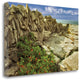 "Through The Cracks" By Dennis Frates, Giclee Print on Gallery Wrap Canvas