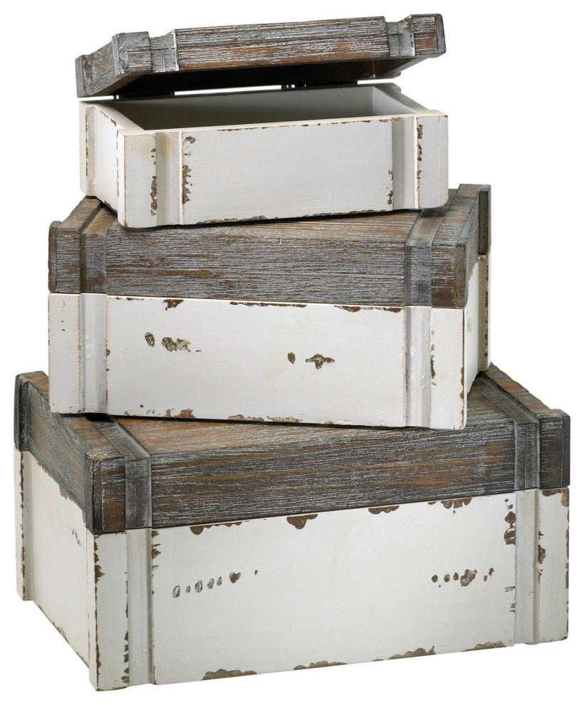 Alder Boxes S/3 by Cyan