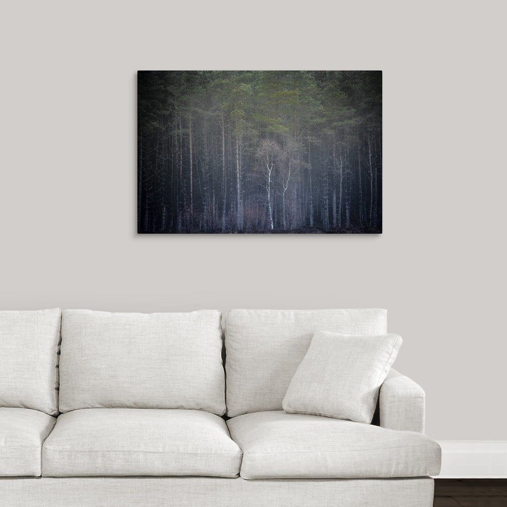 "Reach for the Sky" Wrapped Canvas Art Print, 36"x24"x1.5"