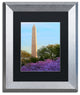CATeyes ''Washington Monument Spring'', Silver Frame, Black Mat, 11x14