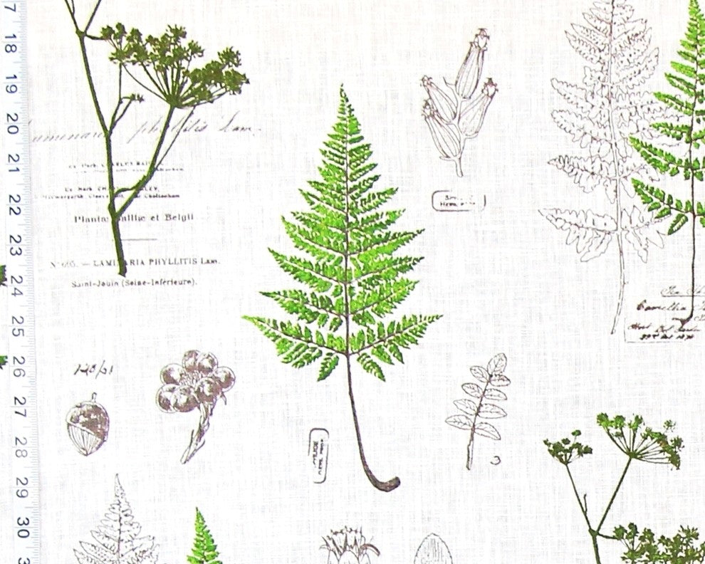 Green Fern Fabric Botanical Nature Toile Meadow Linen, Standard Cut