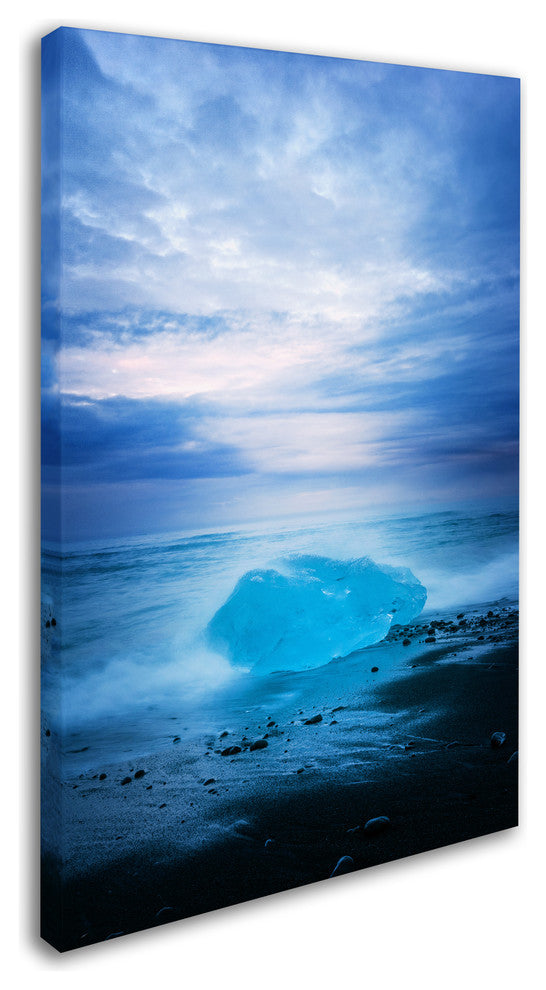 Philippe Sainte-Laudy 'Not Like the Other' Canvas Art