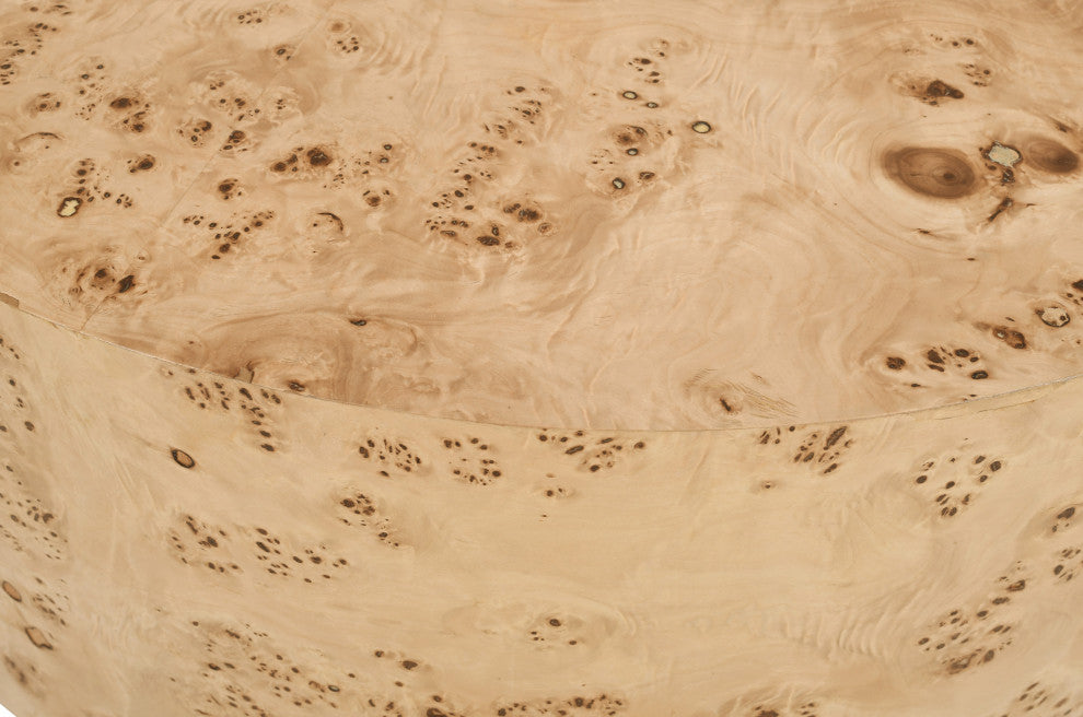 Burl Ash Coffee Table, Natural
