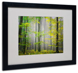 'Sugar Low' Matted Framed Canvas Art by Philippe Sainte-Laudy