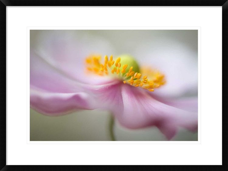 "Untitled" Framed Digital Print by Mandy Disher, 30x22"