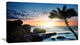 "Lonely Palm Tree On Rocky Beach" Modern Seashore Canvas Art, 40"x20"