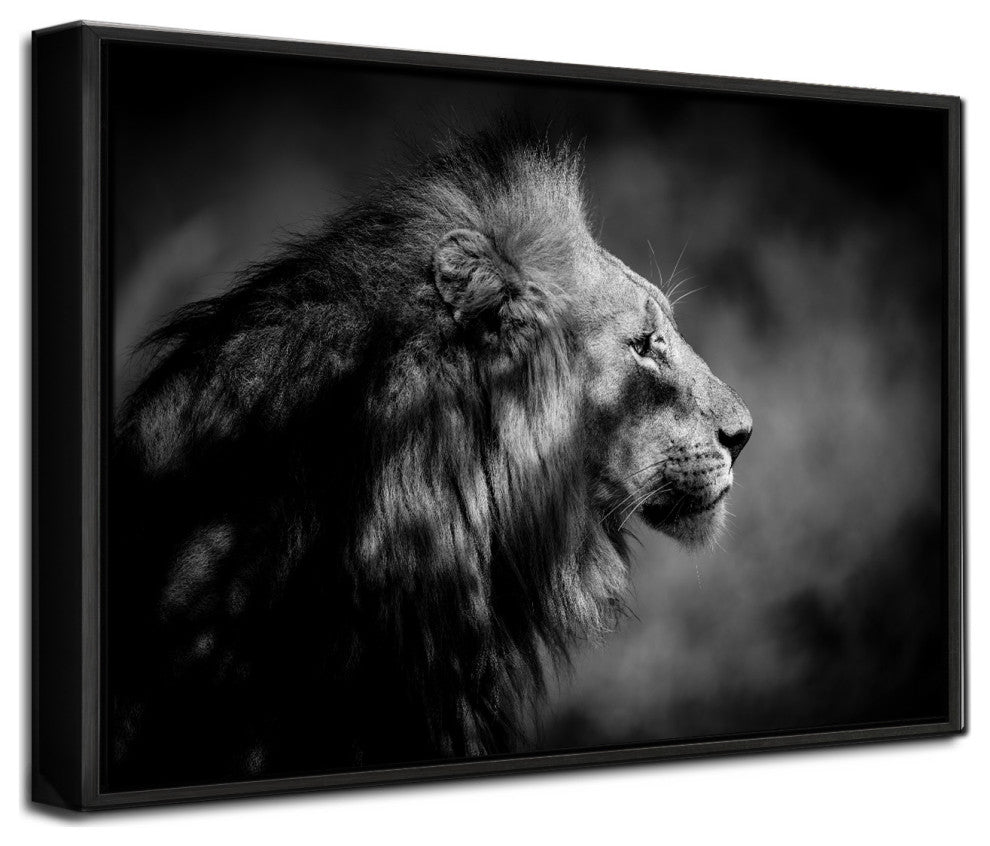 The Male' Framed Print Wall Art by Xavier A