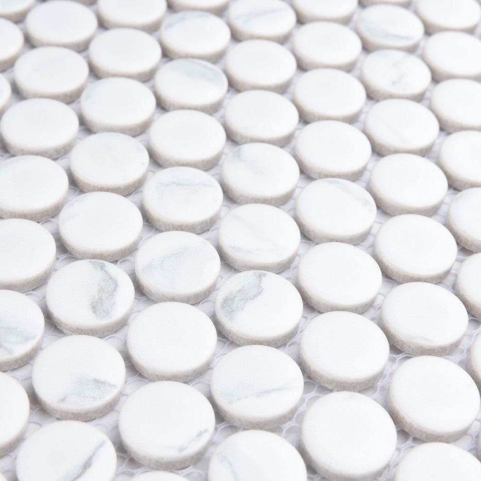 Carrione Penny Matte Carrara Porcelain Floor and Wall Tile