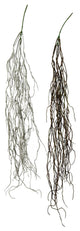 Vickerman Fi190675 37" Artificial Brown Trailing Succulent, Pack of 2