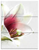 Beautiful Lily Flower Watercolor, Flowers Canvas Wall Artwork, 28x36, 3 Panels