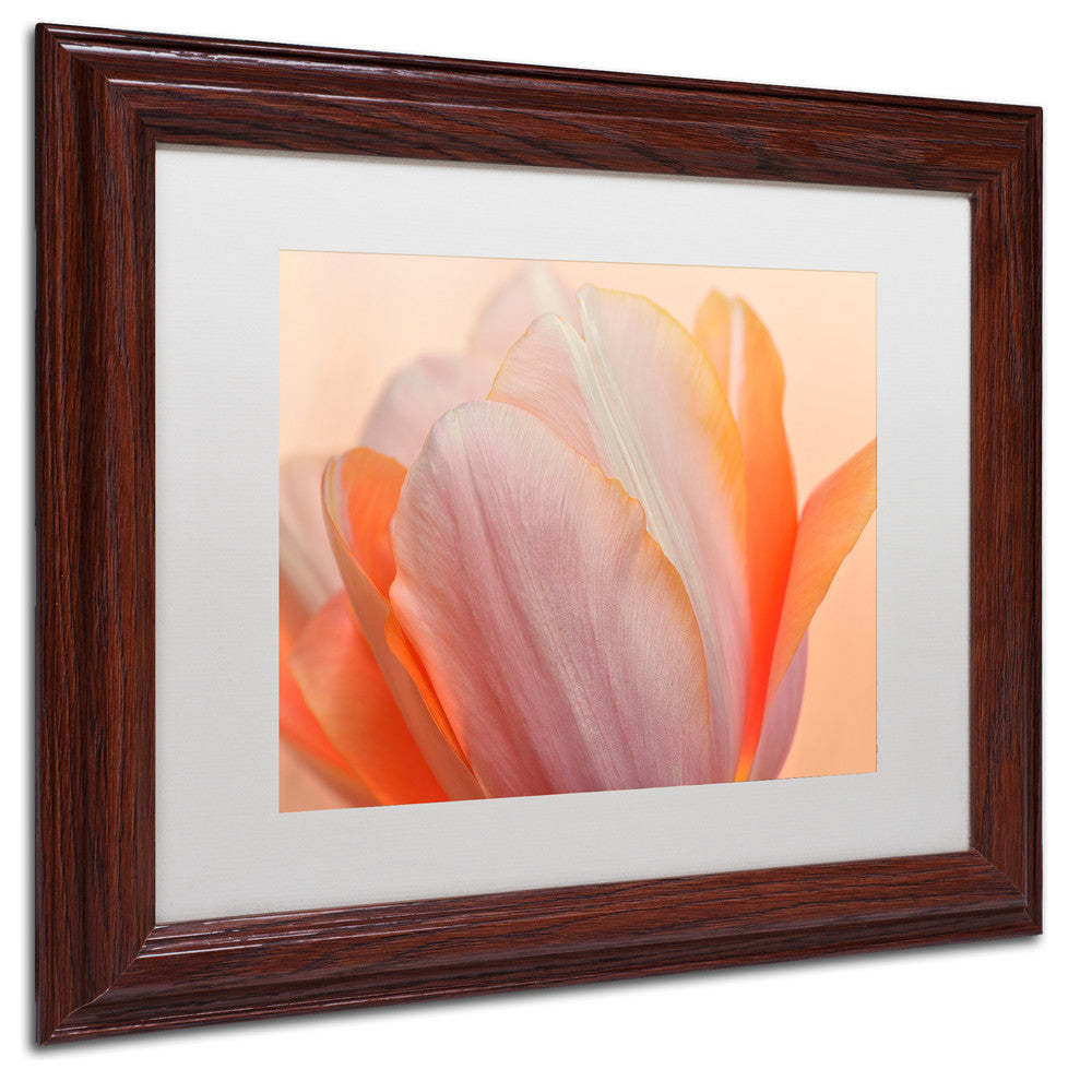 Cora Niele ''Orange Glowing Tulip'' Matted Framed Art
