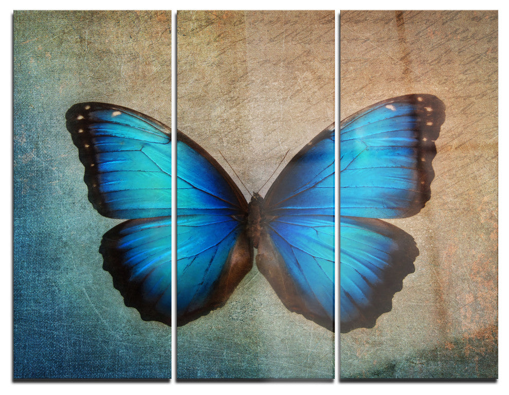 "Blue Vintage Butterfly" Glossy Metal Wall Art, 3 Panels, 36"x28"