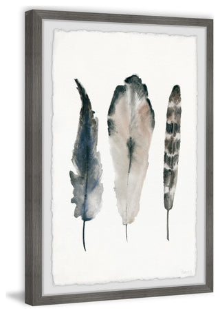 "Textured Feathers" Framed Painting Print, 20"x30"