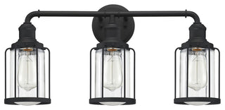 Quoizel LUD8624 3 Light 24"W Vanity Light - Earth Black