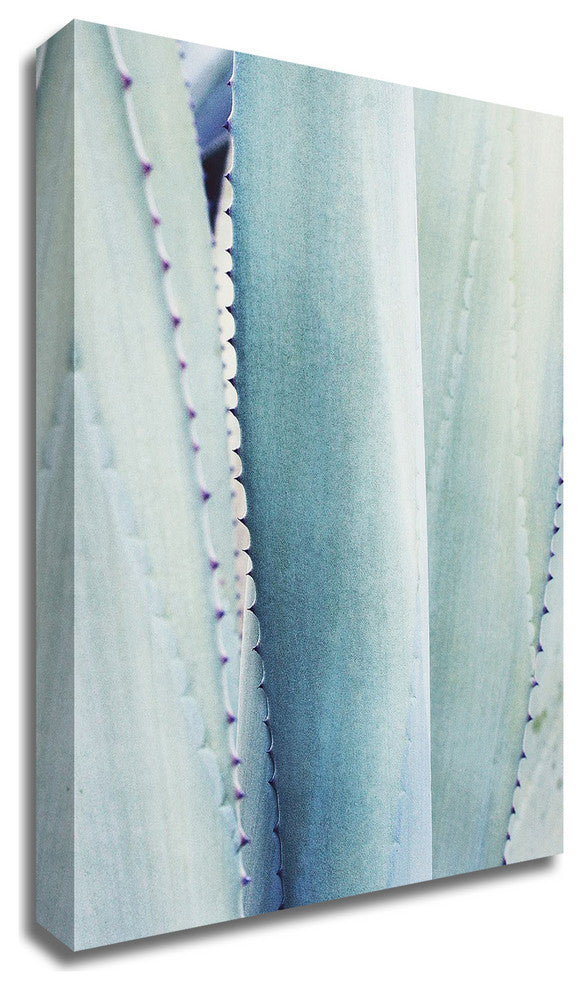 Pale Blue Agave No. 3 by Lupen Grainne, Print on Canvas, 16" x 20"