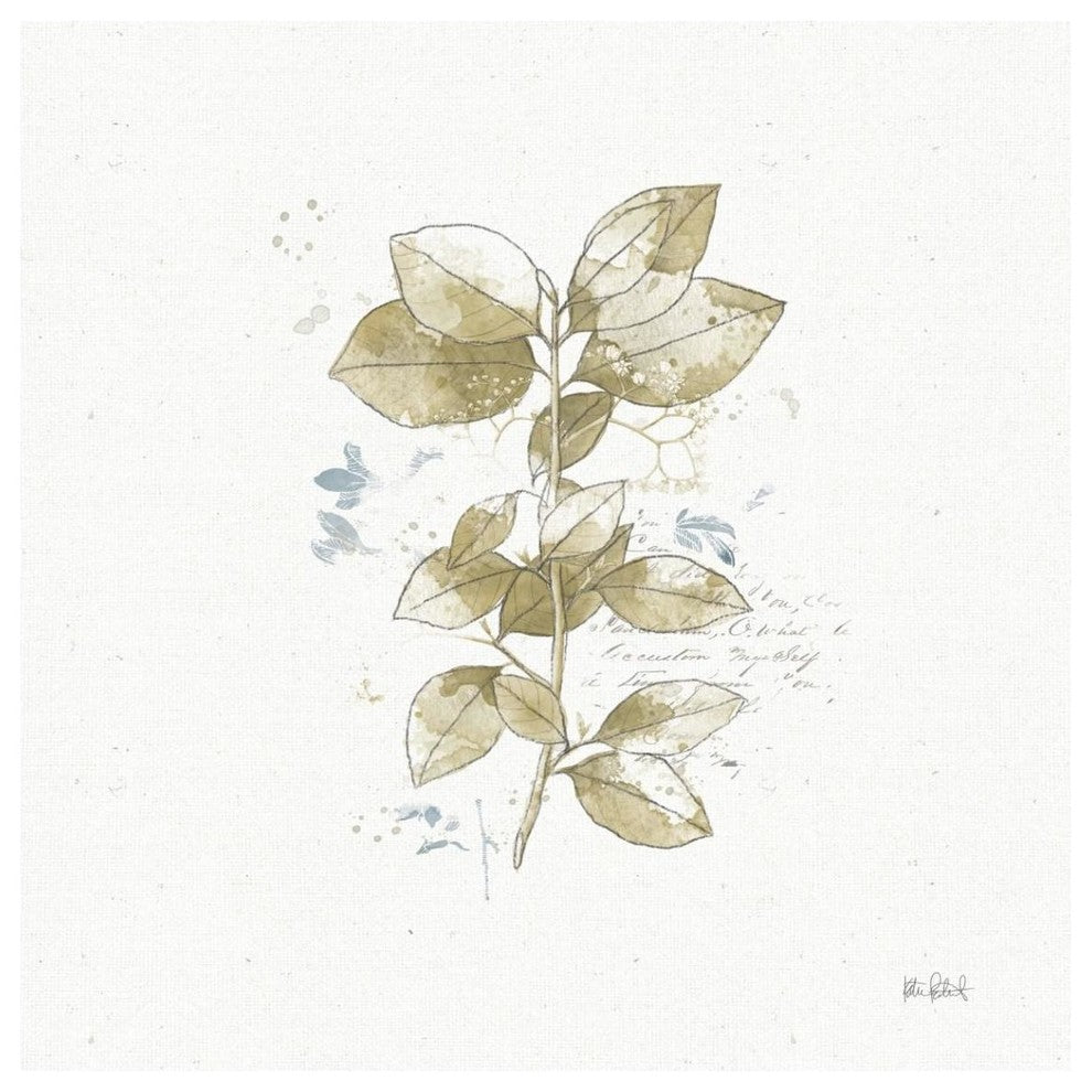 "Floresta III" Digital Paper Print by Katie Pertiet, 42"x42"