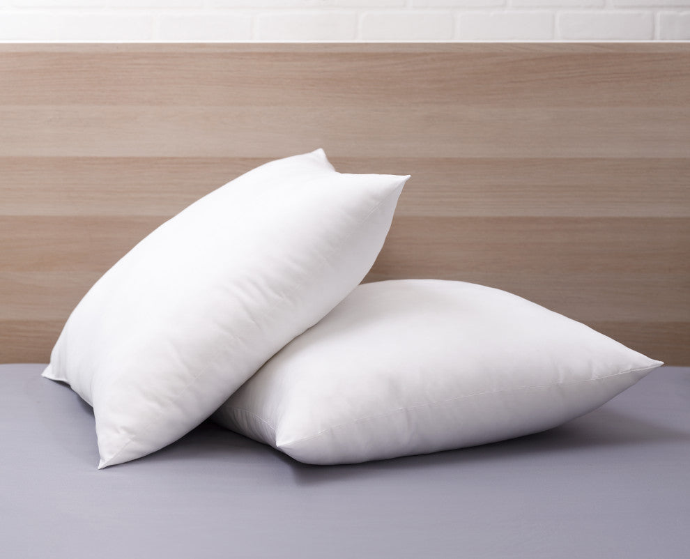 Modern Loft Soft Touch Euro Pillow, 2-Pack