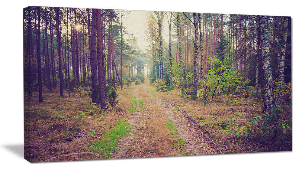 Straight Pathway in Thick Forest, Modern Forest Canvas Art, 32"x16"