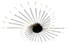 Winterthur | Exquisite LED Metal Ceiling Light, Black, 42 Heads