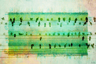 "Wire Nap" Fine Art Canvas Print, 36"x24"