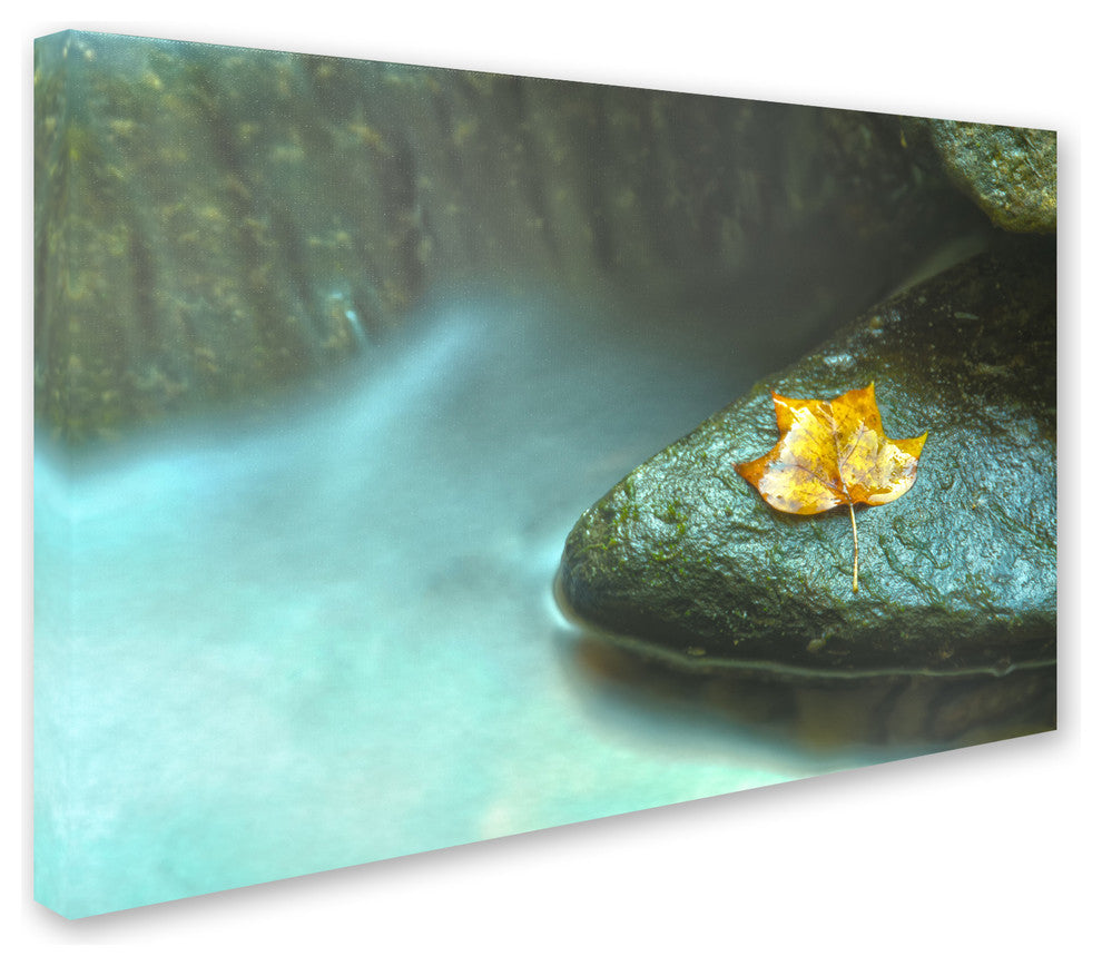 PIPA Fine Art ''Misty Leaf'' Canvas Art, 32x22