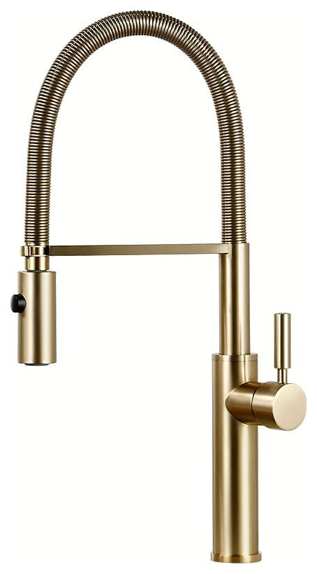 Single Handle Pull Out Spout Kitchen Faucet