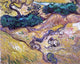 Vincent Van Gogh Field with Two Rabbits, 20"x25" Gallery Wrapped Canvas Print
