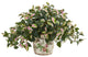 Hoya Artificial Plant in Floral Print Planter