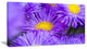 "Bunch of Large Violet Flowers" Flower Canvas Wall Art, 1 Panel, 60"x28"