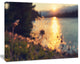 Arctic Cotton Flowers At Sunset, Floral Canvas Art Print, 60"x28"
