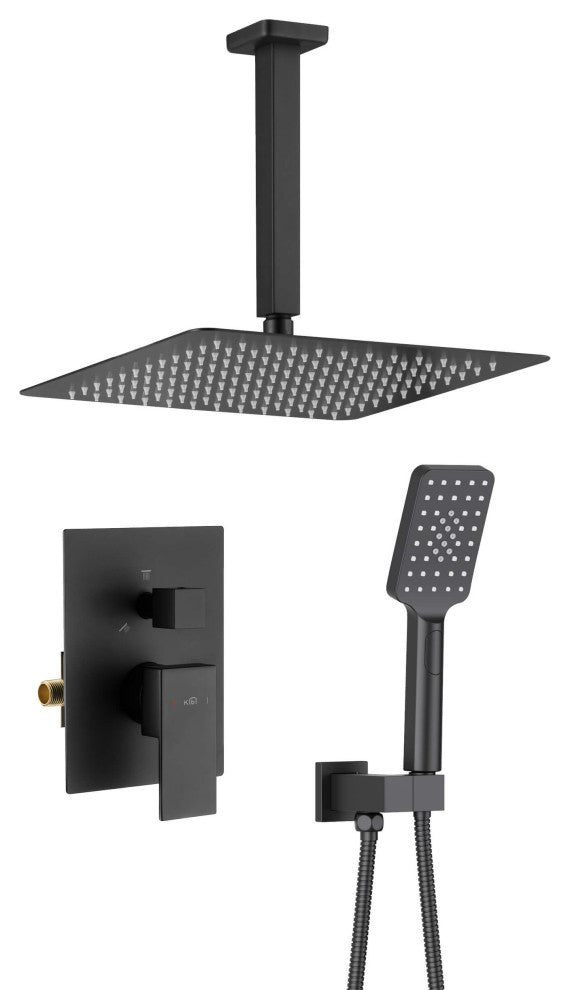 Ceiling Mounted 2-Function Shower System, Rough, Valve, Matte Black