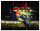Colorful Parrot on Branch, Animal Canvas Wall Art, 36x28, 3 Panels