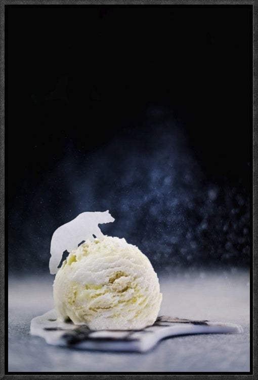 "Polar Bear (Powdered Sugar)" Framed Canvas Giclee by Dina Belenko, 13x19"