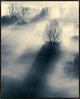 30x38 The Light, Framed Artwork, Espresso
