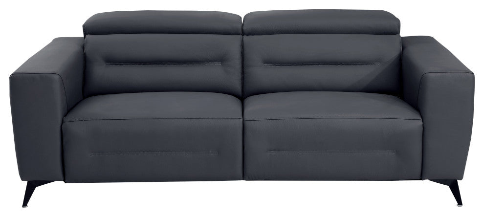 Arezzo Genuine Italian Leather Modern Loveseat, Dark Gray