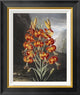"The Superb Lily" Framed Canvas Giclee by Robert John Thornton, 19x22"