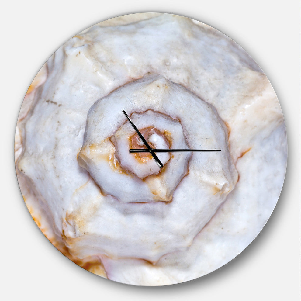 Great Skeleton of Sea Shell Oversized Coastal Metal Clock, 36x36