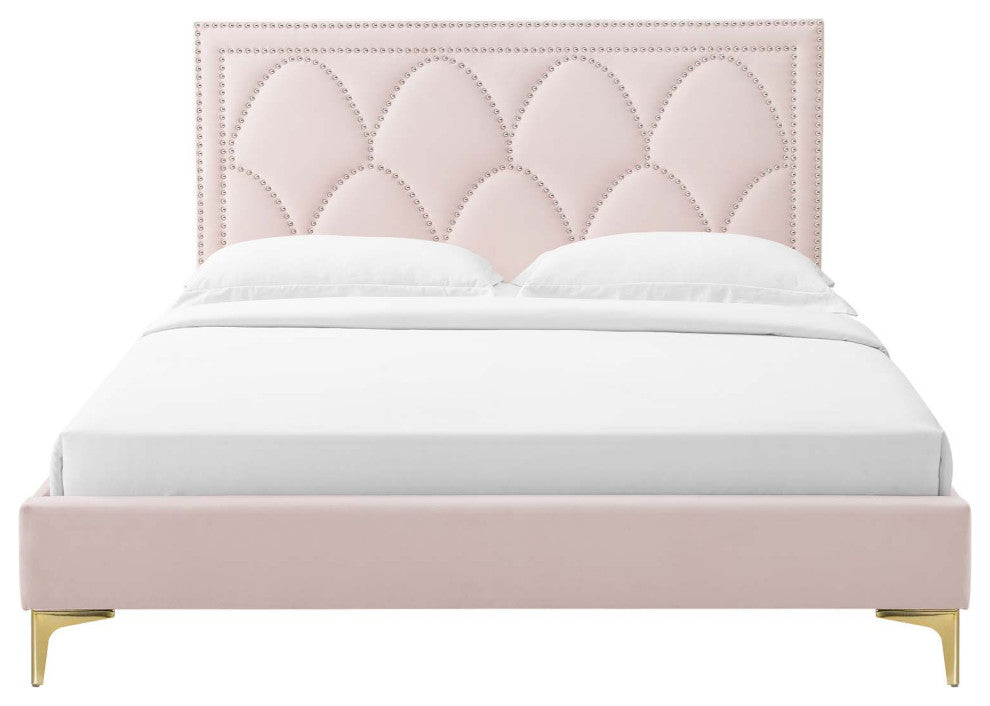 Platform Bed Frame, Nailhead, Queen Size, Pink, Velvet, Modern, Guest Suite
