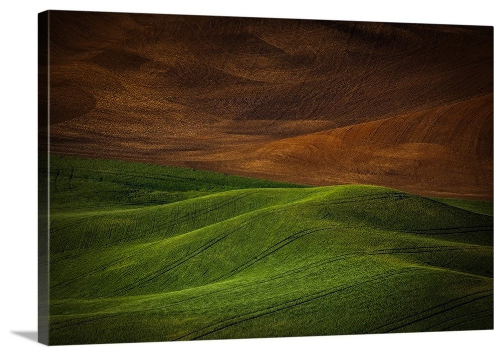 "Landwriting I" Wrapped Canvas Art Print, 24"x16"x1.5"