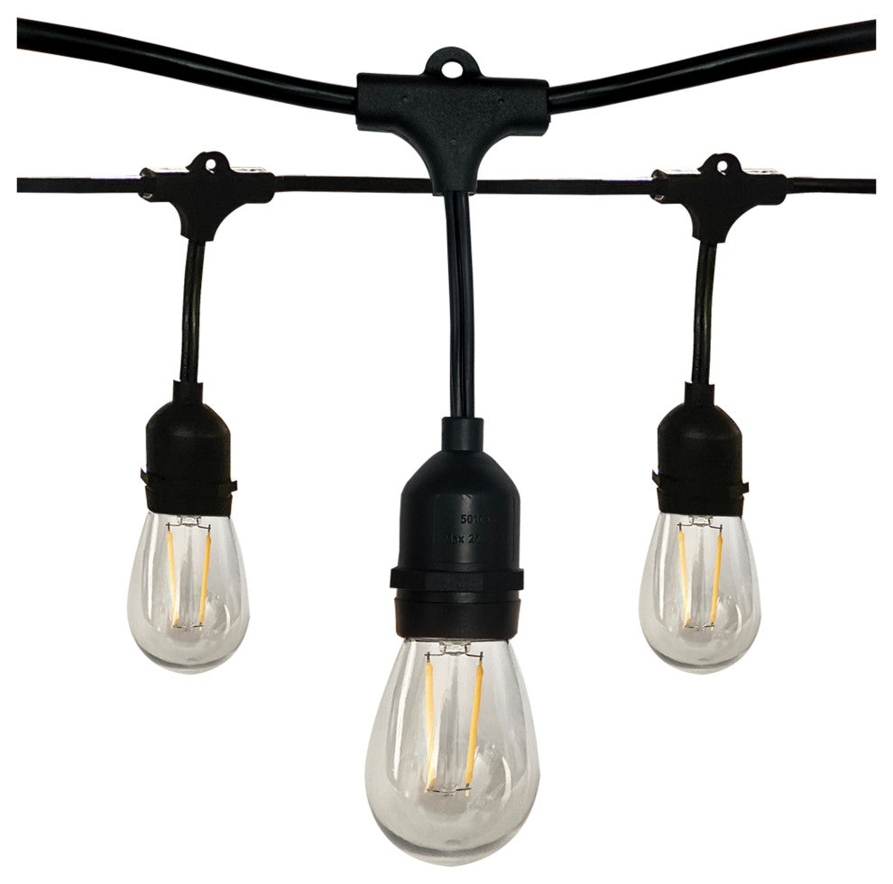 24' Indoor/Outdoor 12-Bulb Standard LED String Light