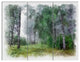 Green Forest Watercolor Drawing, Landscape Triptych Canvas Art, 36x28, 3 Panels