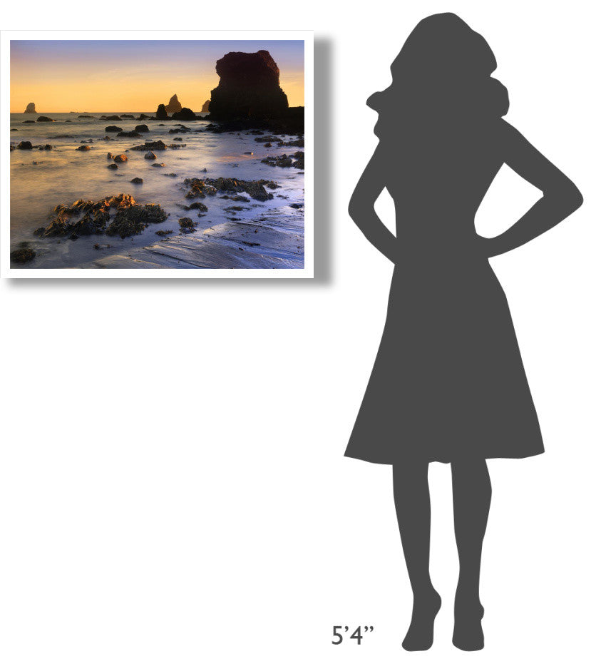 "Lone Beach at sunset, Oregon" Digital Paper Print by Tim Fitzharris, 34"x26"
