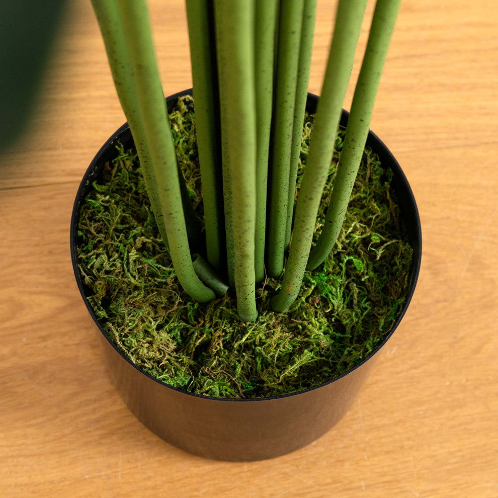 Close-up of base/stem in a lifestyle setting (cropped detail).