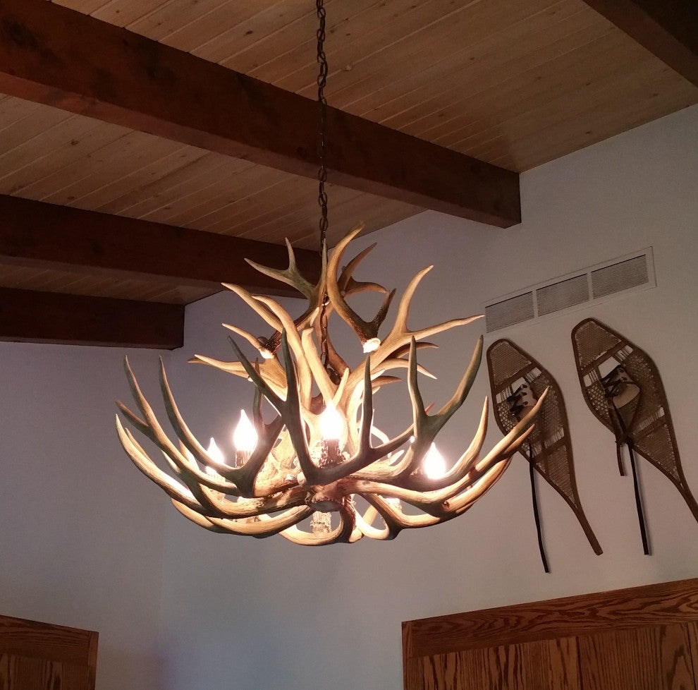 Mule Deer Royal Crown Antler Chandelier Light, Large, Rawhide Shades