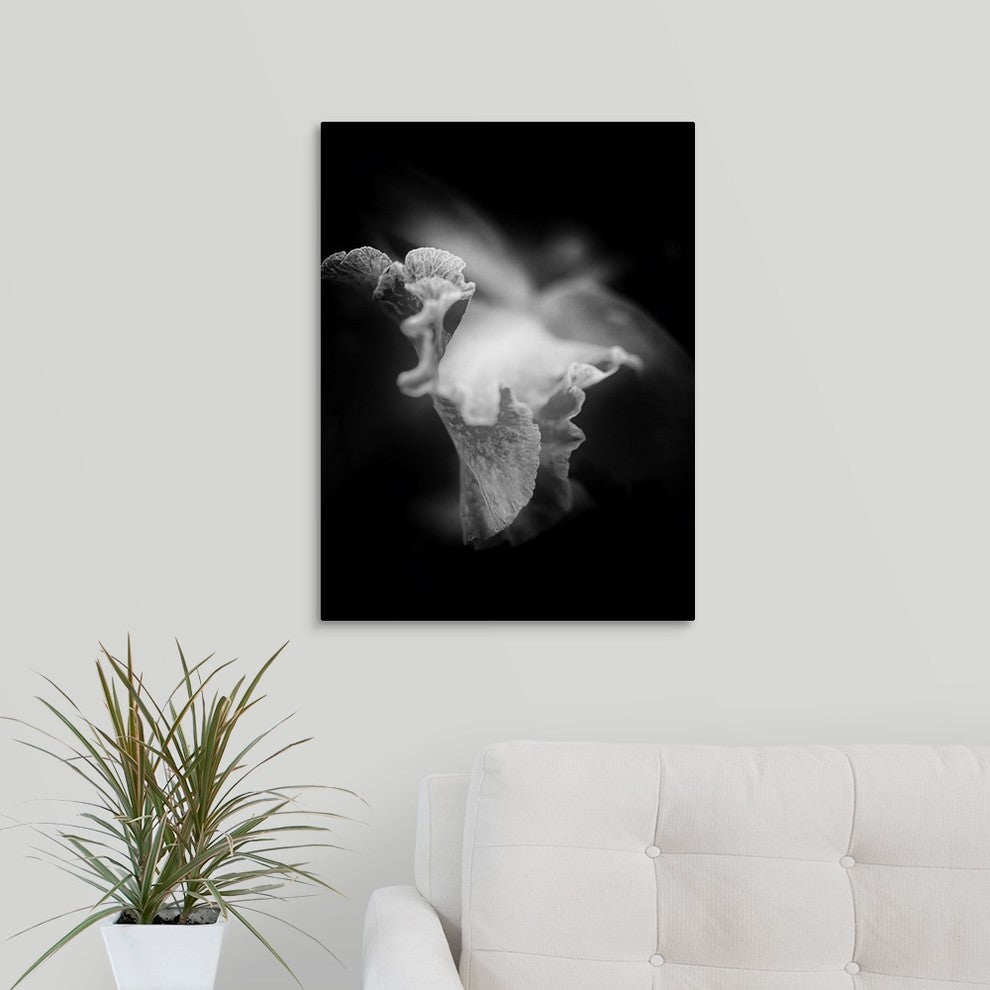 "Lily I" Wrapped Canvas Art Print, 18"x24"x1.5"