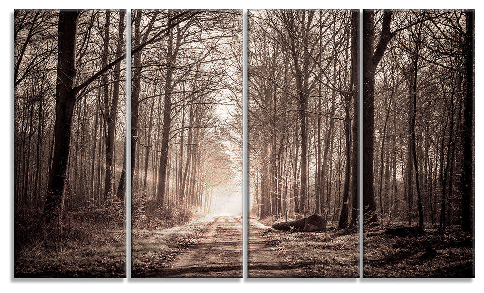 "Forest Trail in Sepia" Landscape Photography Canvas Print, 4 Panels, 48"x28"