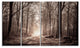 "Forest Trail in Sepia" Landscape Photography Canvas Print, 4 Panels, 48"x28"