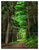 "Dreamy Greenery in Dense Forest" Forest Metal Wall Art, 3 Panels, 28"x36"
