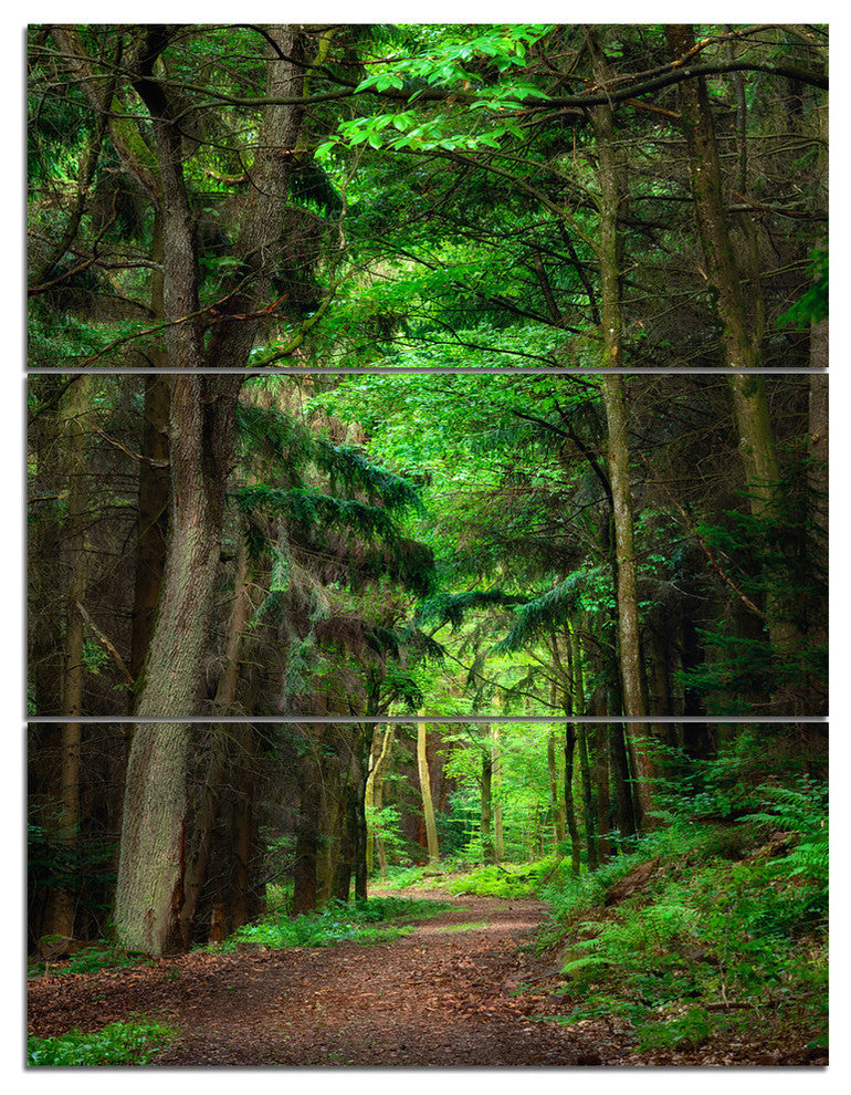 "Dreamy Greenery in Dense Forest" Forest Metal Wall Art, 3 Panels, 28"x36"